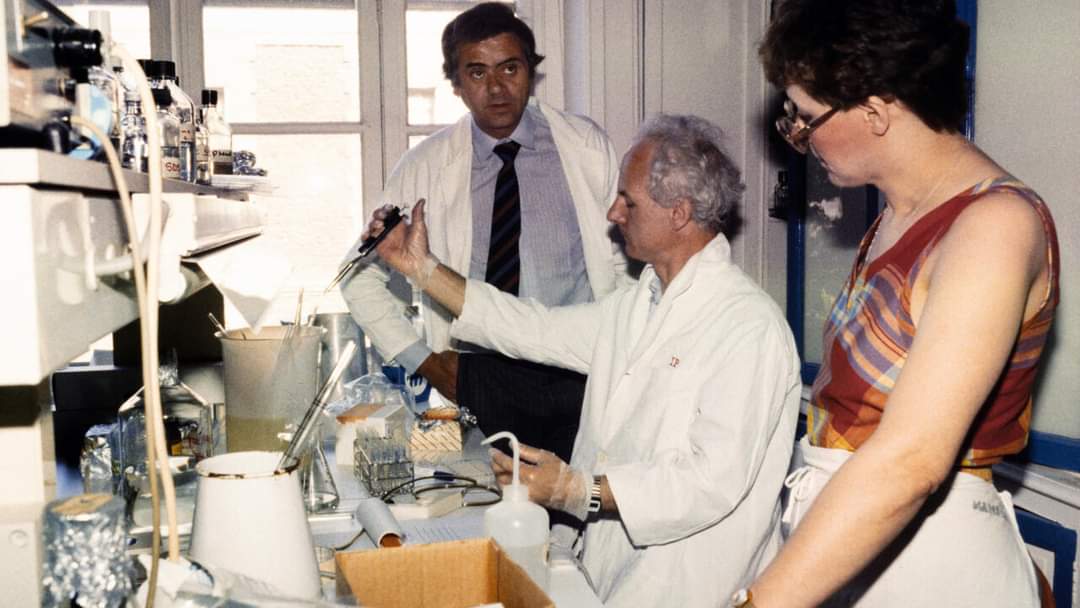 Se cumplen 40 años del descubrimiento del virus del sida ÚLTIMA NOTA