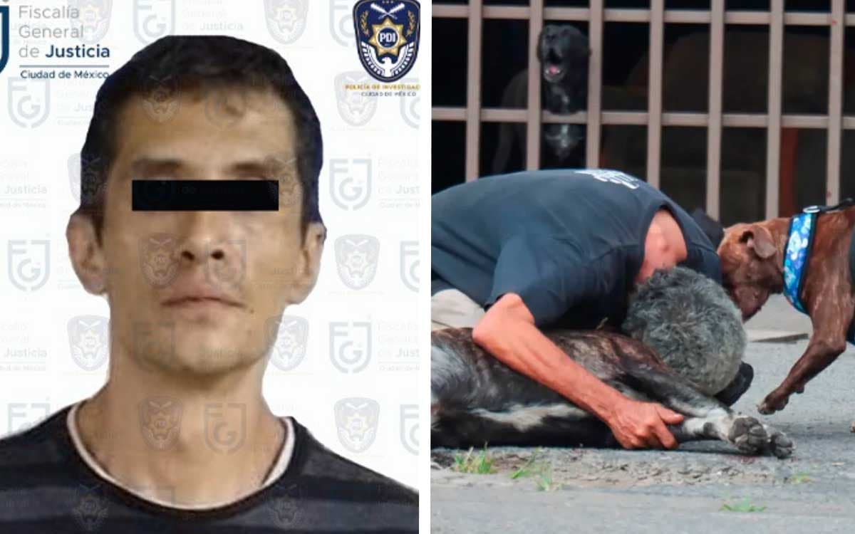 Vinculan a proceso al presunto asesino del perrito Zeus La Última Nota