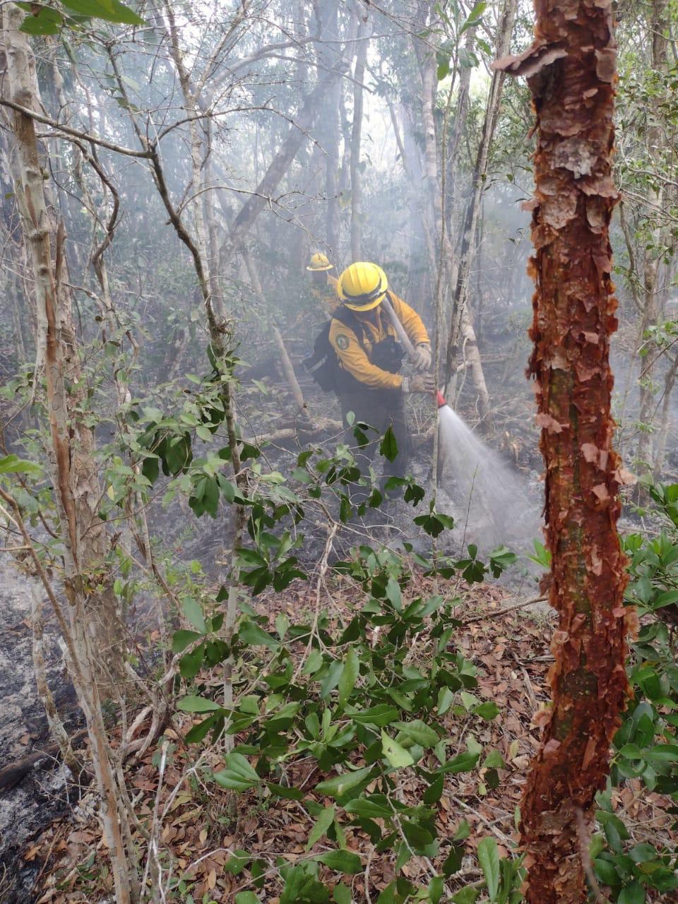 liquidan incendio forestal en la reserva de la biosfera de Sian Ka’an