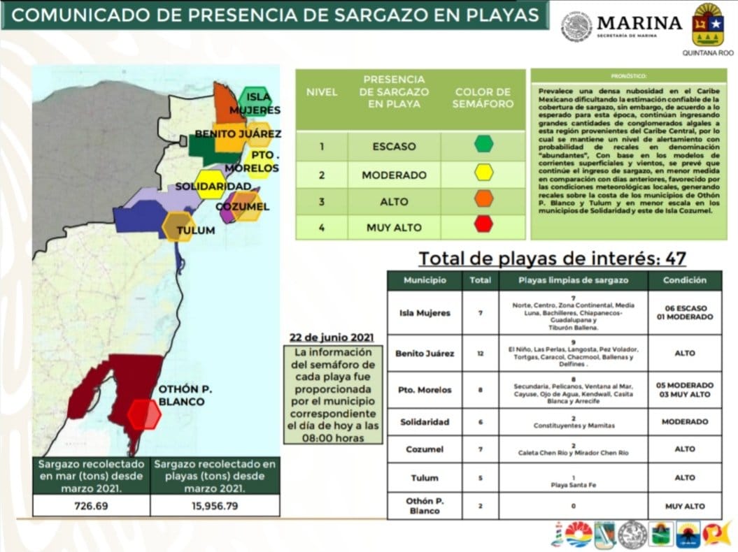 Afectación alta de sargazo en cinco municipios de Quintana Roo