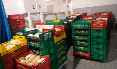 Retiene Conapesca casi 33 toneladas de producto pesquero en operativos de Inspección y Vigilancia en Sinaloa y Baja California