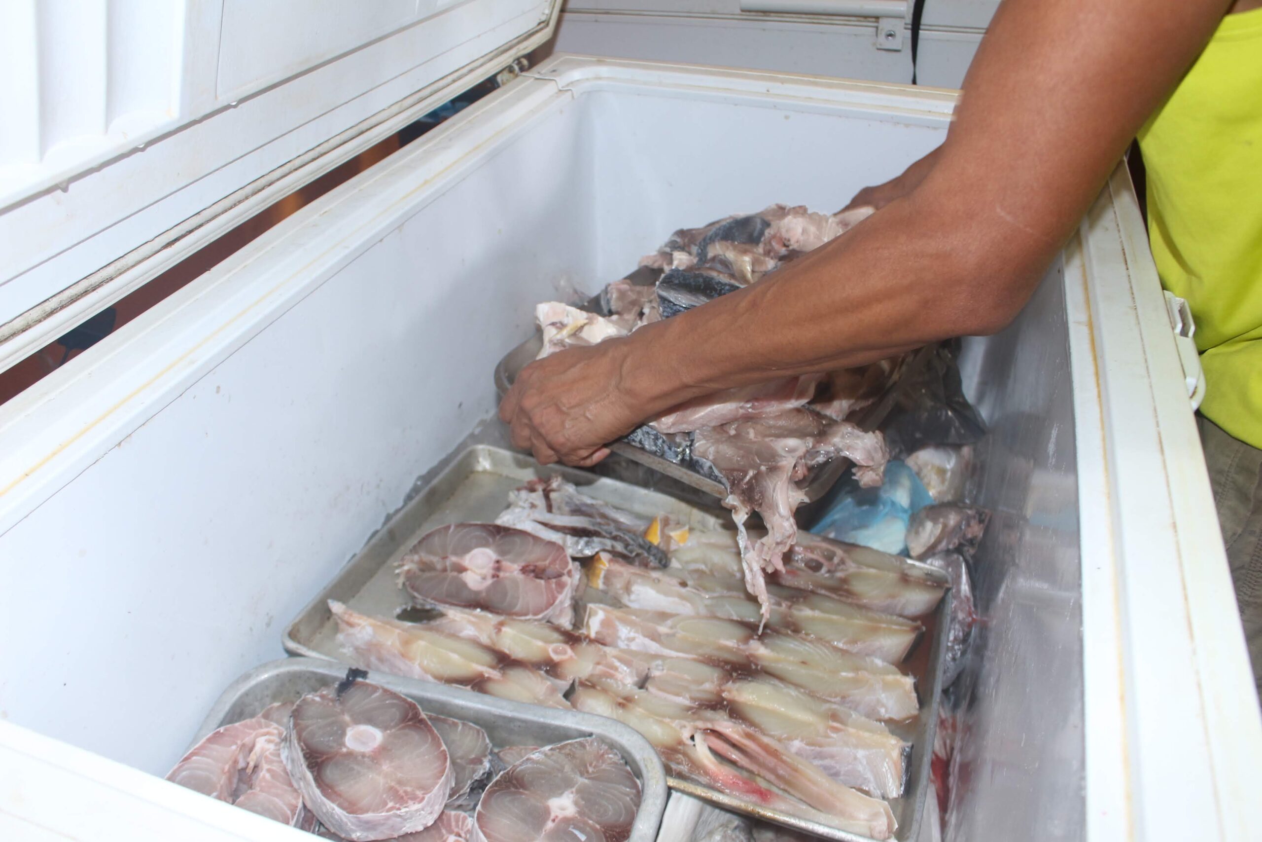 Pasan inspección por ciguatera en pescaderías de FCP