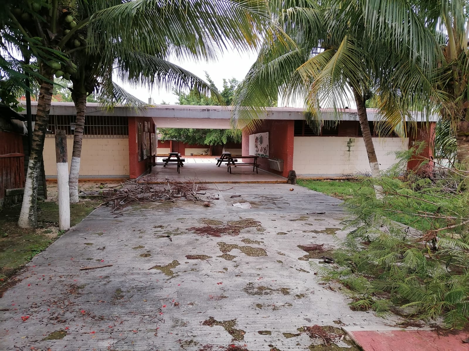 Poca concurrencia ante regreso a clases en FCP