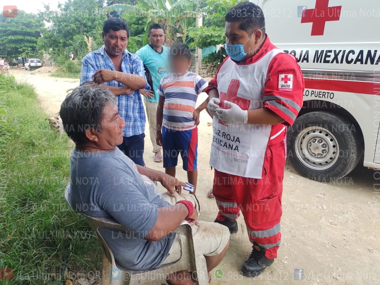 Abejas ATACAN a dos hombres en la zona maya