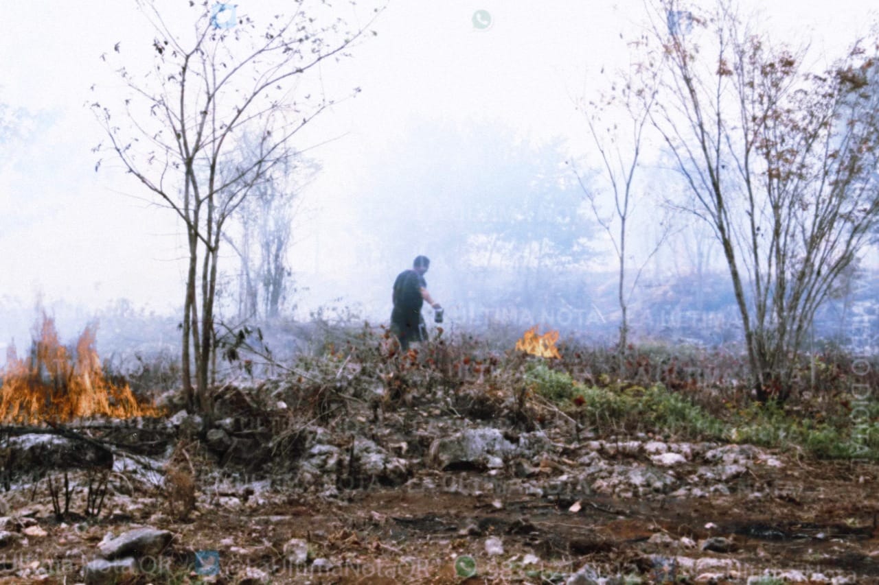 Se registran más incendios de maleza en FCP.