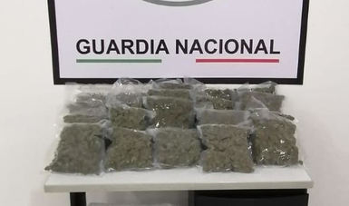 Binomios caninos de Guardia Nacional localizan 20 bolsas con aparente marihuana en Torreón