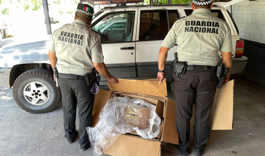 GN asegura más de cuatro kilos y medio de aparente marihuana en carretera de Q. Roo