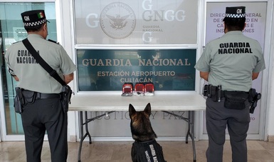 En Culiacán, binomios caninos de la GN detectan aparente crystal en piezas automotrices