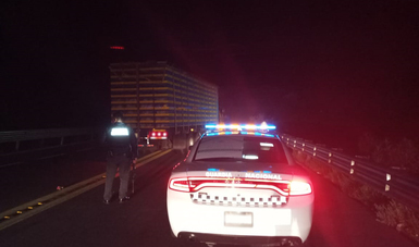 Guardia Nacional encuentra en Puebla tractocamión con más de 2 mil 500 pollos robados