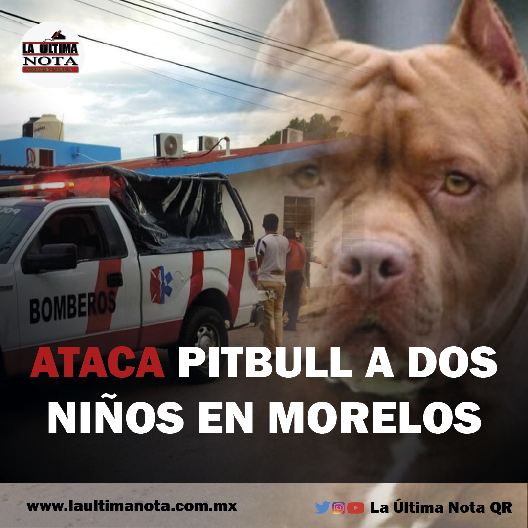 Ataca PITBULL a dos niños en Morelos