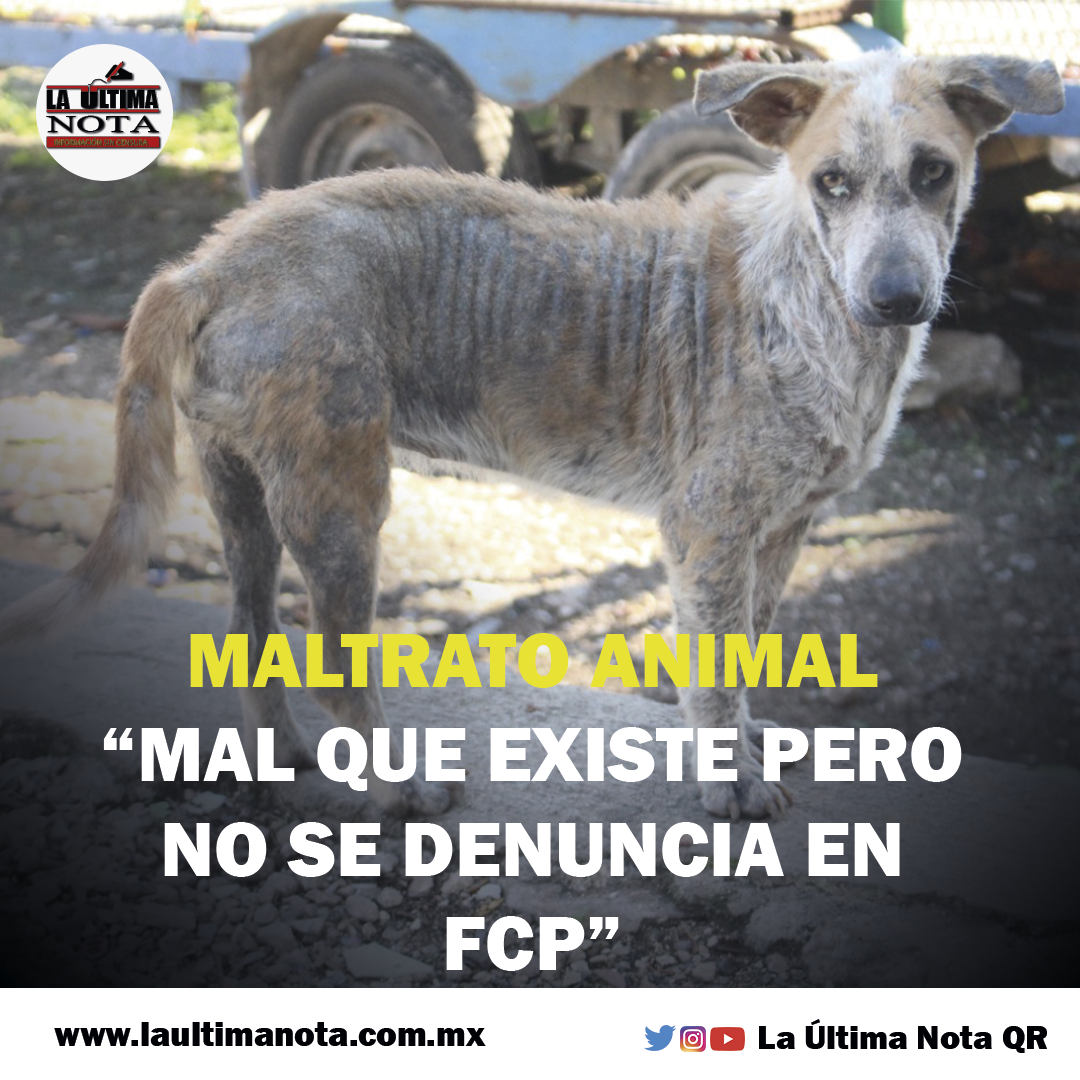 Maltrato animal “mal que existe pero no se denuncia en FCP”