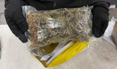 Guardia Nacional y Ejército Mexicano localizan en el Aeropuerto de Querétaro aparente marihuana