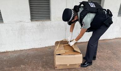 Guardia Nacional encuentra cerca de cuatro kilos de aparente marihuana abandonados en central de autobuses