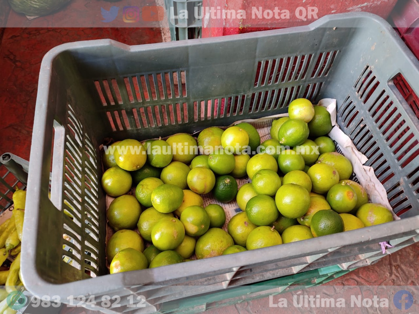 Aumenta el precio del kilo de limón en FCP