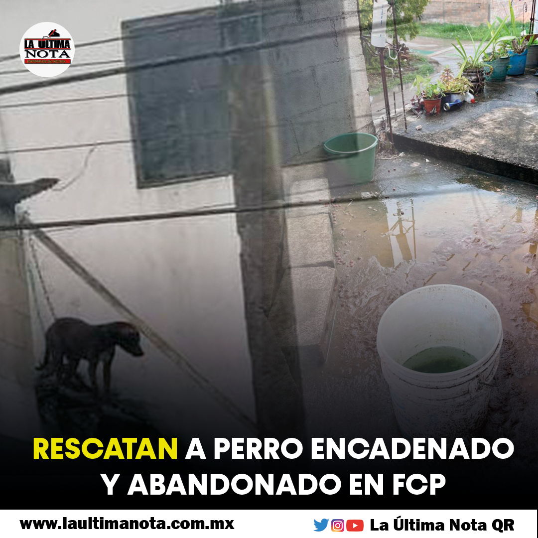 Rescatan a perro encadenado y abandonado en FCP