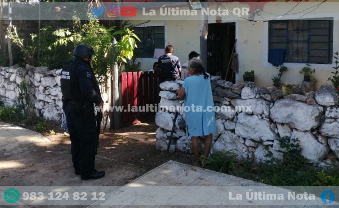 Serpiente altamente venenosa (cuatro nariz) atacó a adulto mayor en J.M.M