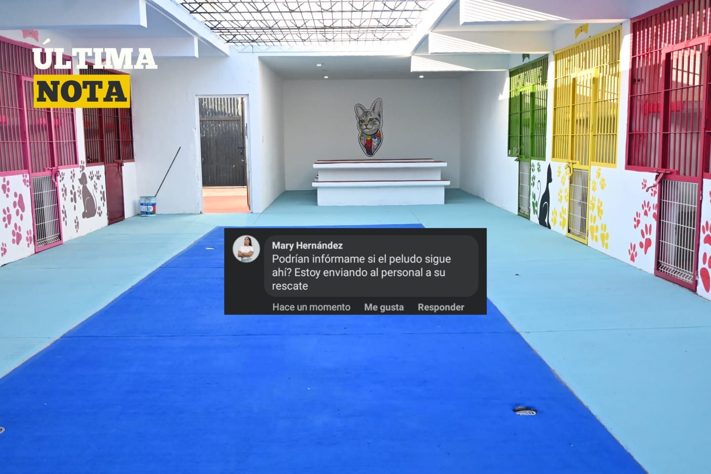 Construyen la primera estancia para la atención de animalitos en FCP