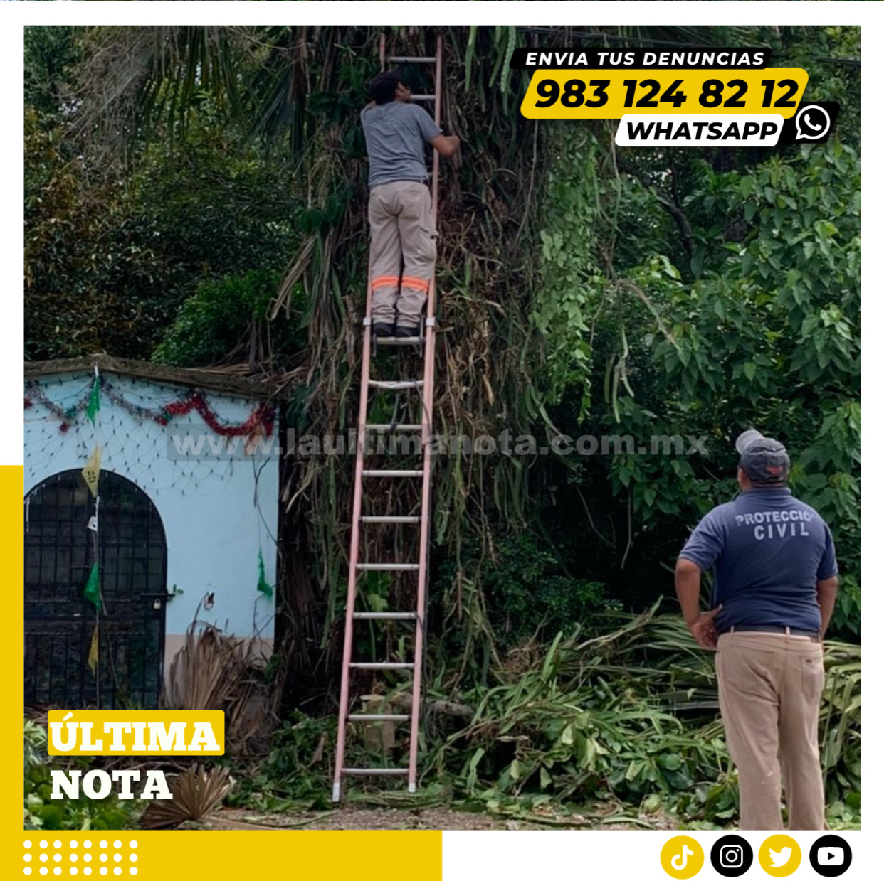 Protección civil poda árboles ante la posible formación de un ciclón tropical 