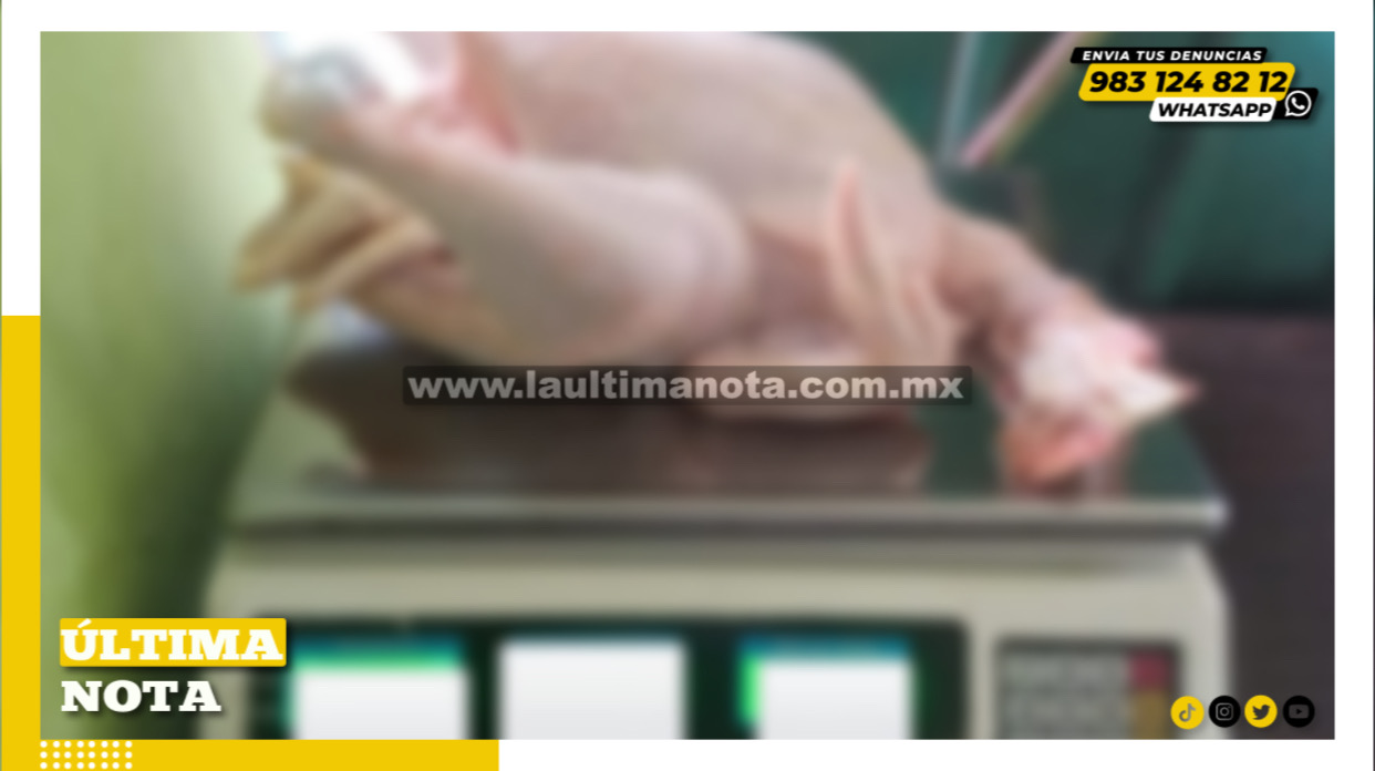 Prepárate, ya que aumentará el precio del kilo de pollo fresco en la Zona Maya😳