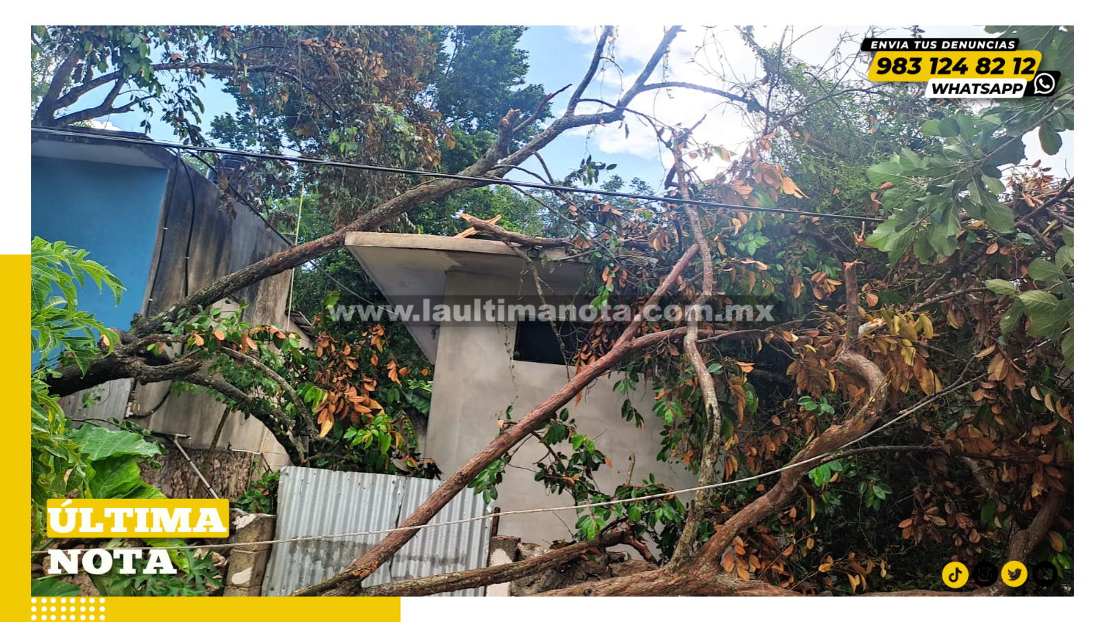 Caen árboles en FCP tras turbonada