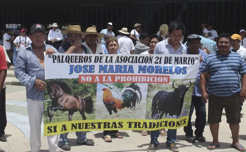 Las corridas de toros y peleas de gallos no regresan a Quintana Roo