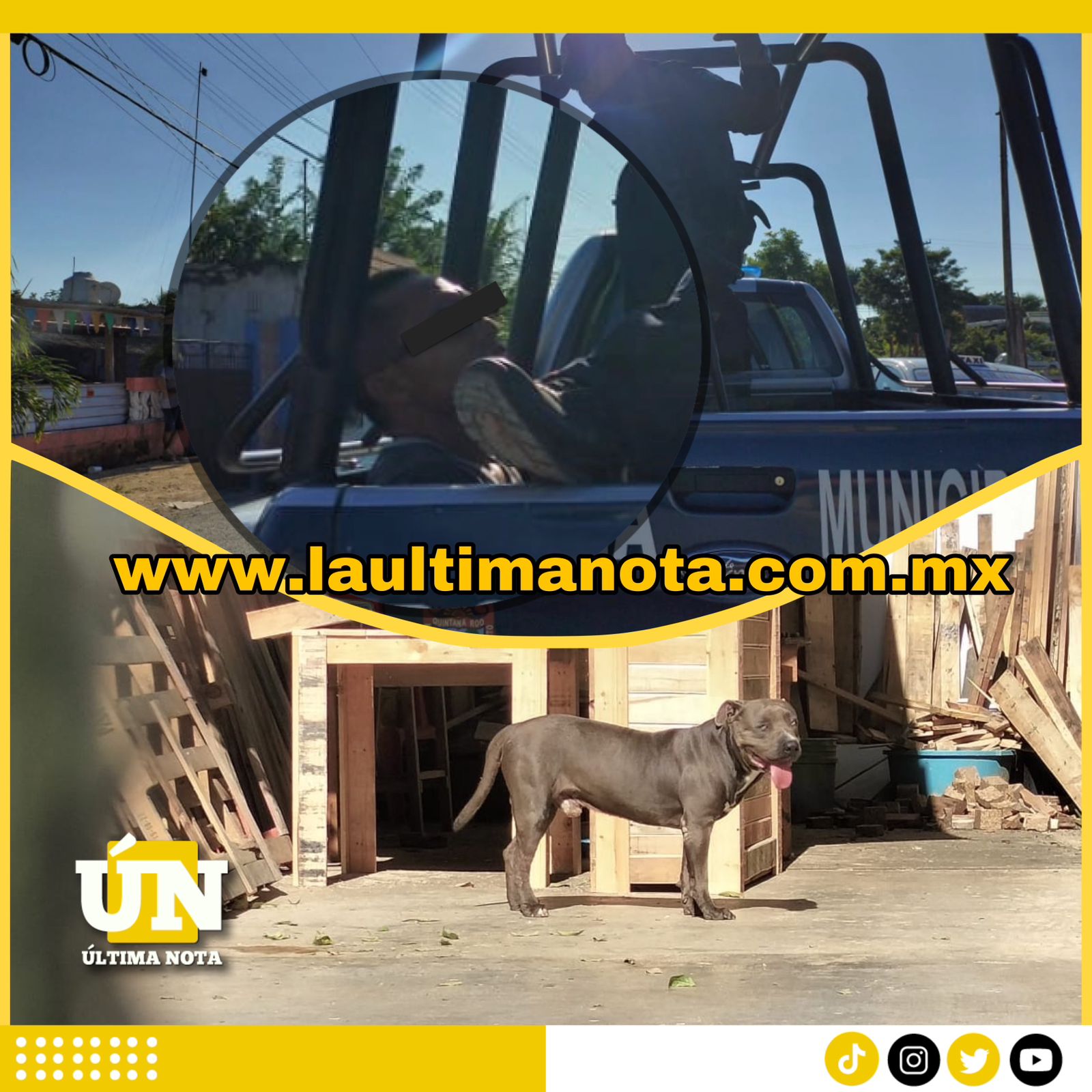 Ladrón fue detenido, dopó al perro para poder entrar a una casa