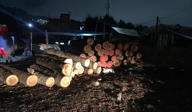 Guardia Nacional y PROFEPA desmantelan aparente centro de tala ilegal en Ciudad de México