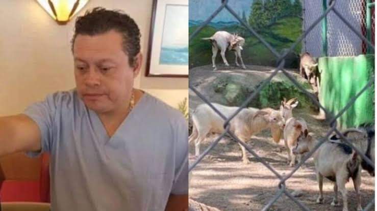 Exdirector de zoológico en méxico vendió y cocinó animales del recinto