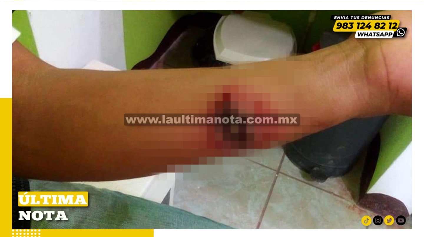 Afecta mosca chiclera a trabajadores del Tren Maya y Aeropuerto en FCP