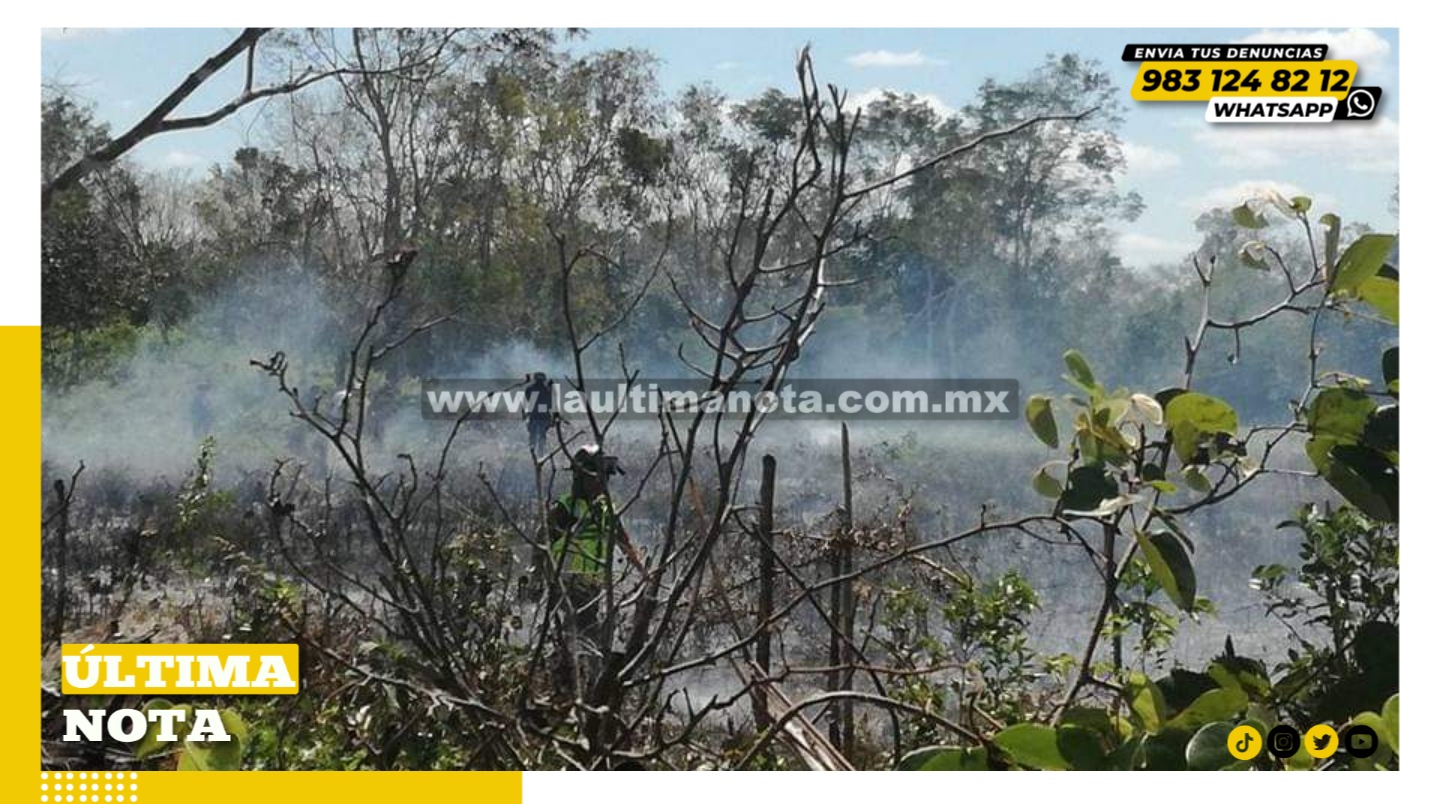 Calendarizarán quemas de parcelas en la zona maya