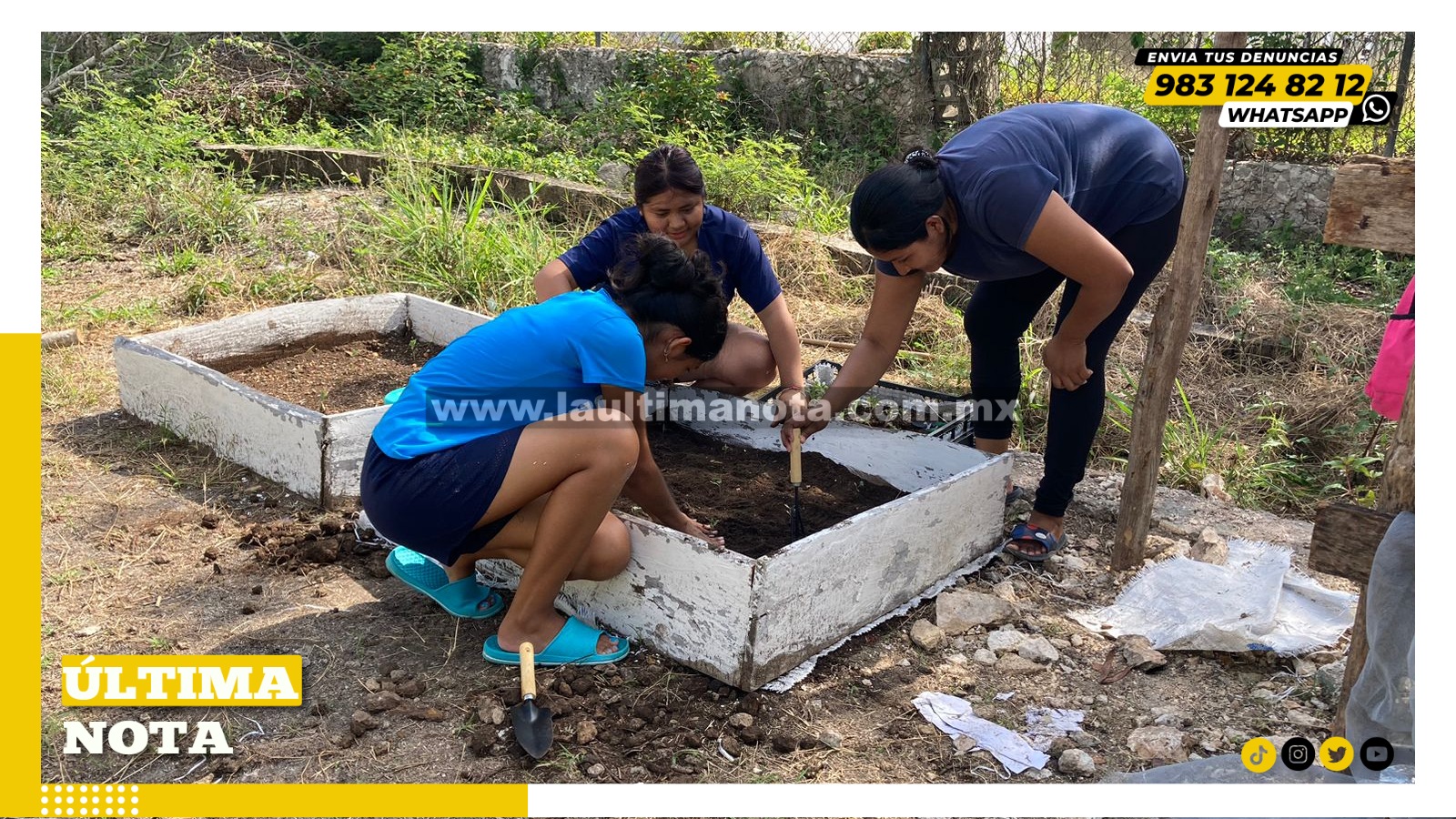 Promueven el cultivo alumnos del Cbtis en Carrillo