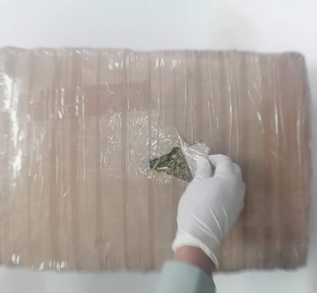 En Aguascalientes, Guardia Nacional detecta envío que contenía aparente marihuana