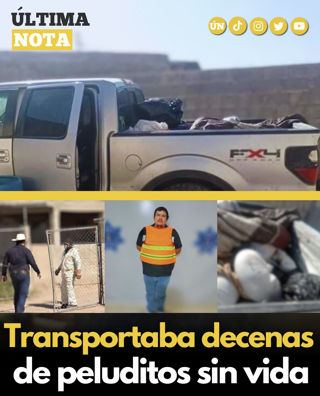 Hombre que tenía 118 cadáveres de perros en su camioneta ha sido detenido.