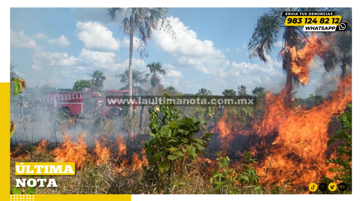 Repuntan incendios en el primer trimestre del 2023