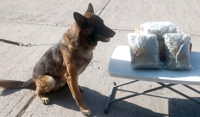 En 12 estados del país, Guardia Nacional localiza paquetes con aparente marihuana