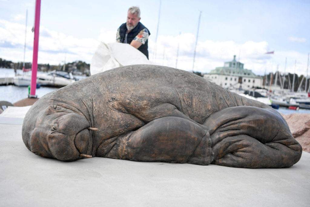 Se devela en Noruega una escultura en honor a Freya, la morsa que murió por alterar el orden público de la zona