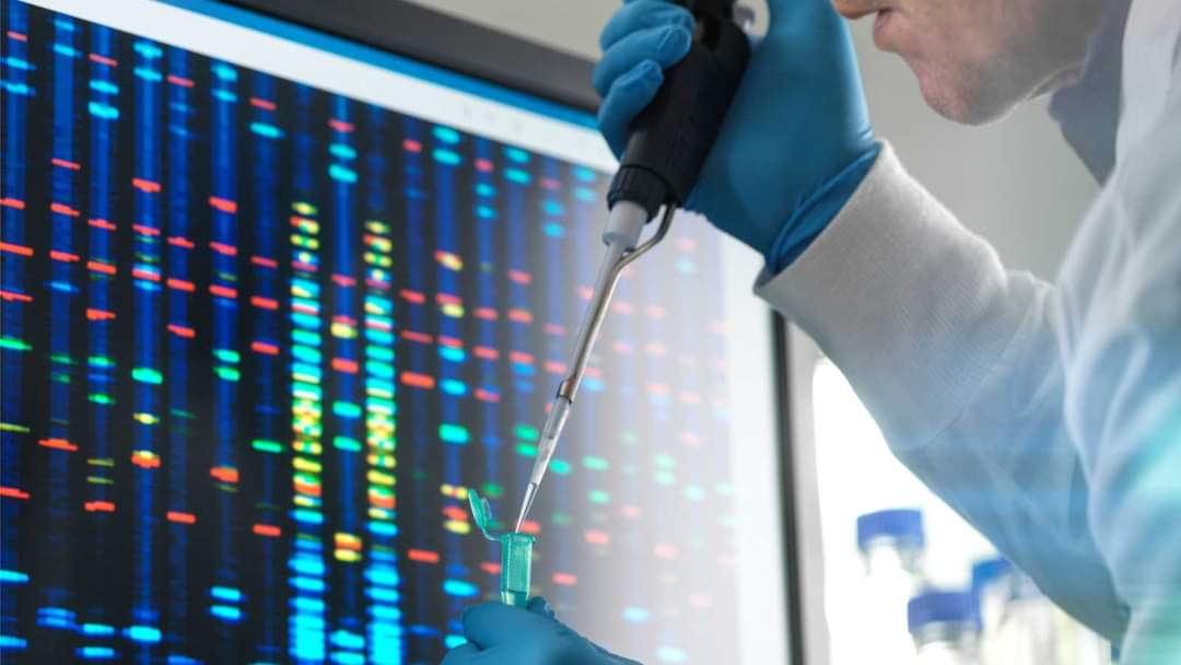 Publicado el primer “pangenoma” humano, llave para el tratamiento de enfermedades raras