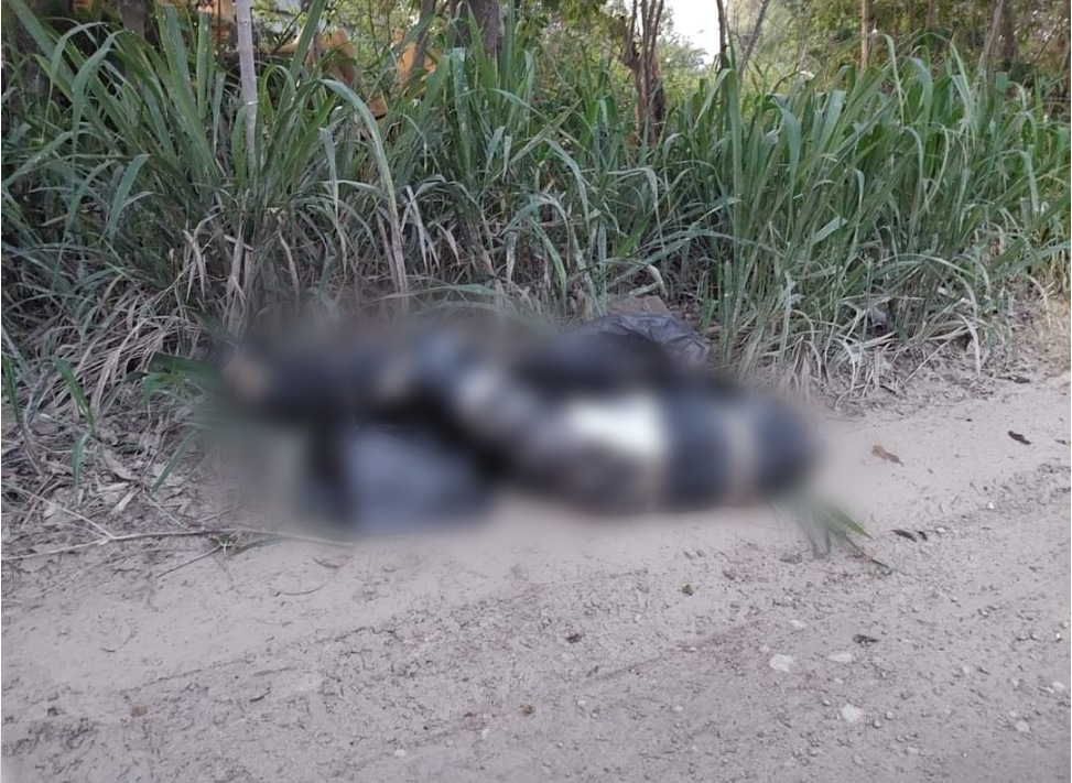 “PARA LOS QUE ROBAN TERRENOS”: Hallan cuerpo embolsado con un mensaje en Chetumal