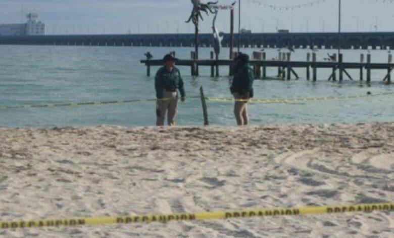 Hallan feto humano en la playa de Progreso
