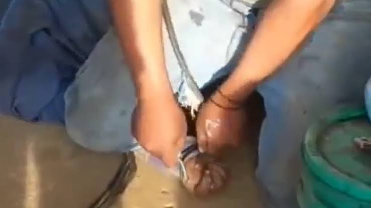 “¡Me duele!”: con toques eléctricos, torturan a niño en Acatzingo, Puebla