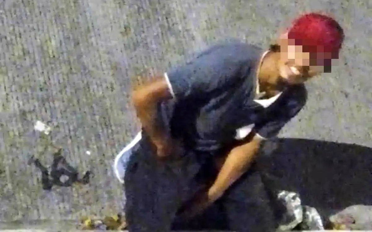 Investigan a hombre que abusa y droga a perrita en Xalapa