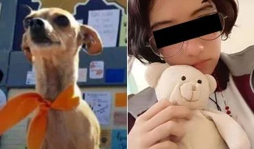 Justicia Para Huellitas, todo lo que sabemos del asesinato de un cachorro en Huauchinango