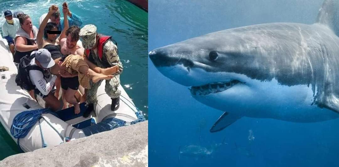 Tiburón ataca a Mexicana en las Islas Galápagos