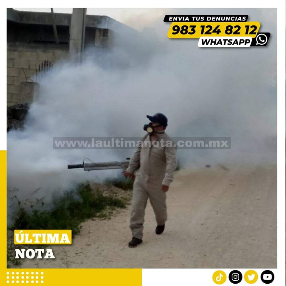 Aplican acciones para detener la proliferación de moscos