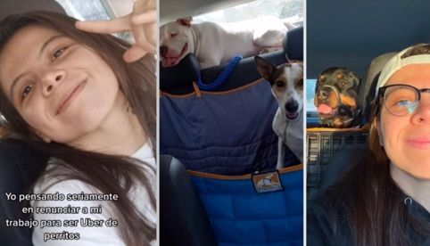 Joven se hace viral por su nuevo emprendimiento: Uber de perritos