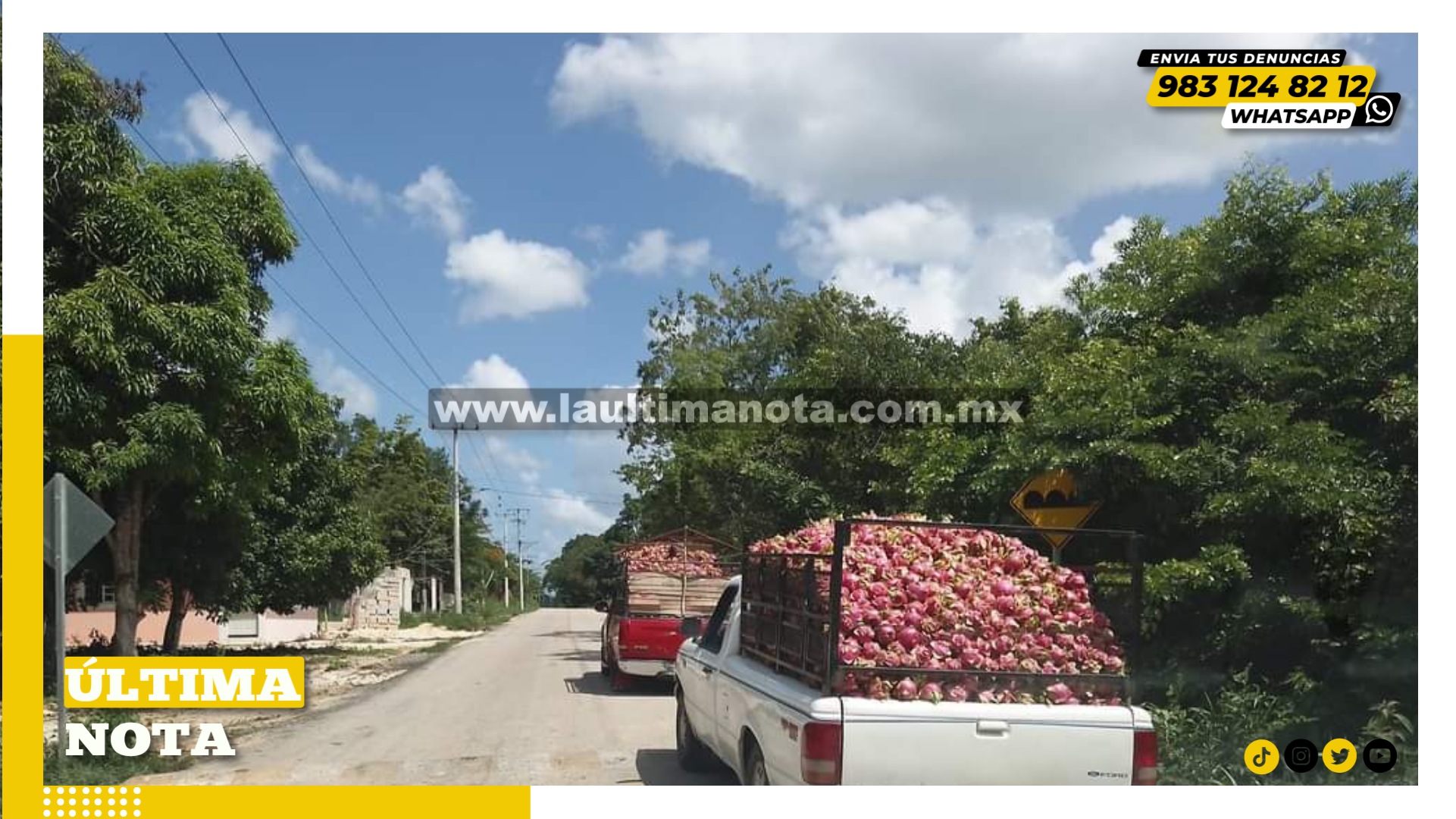 Cae el precio de la Pitahaya por el coyotazo