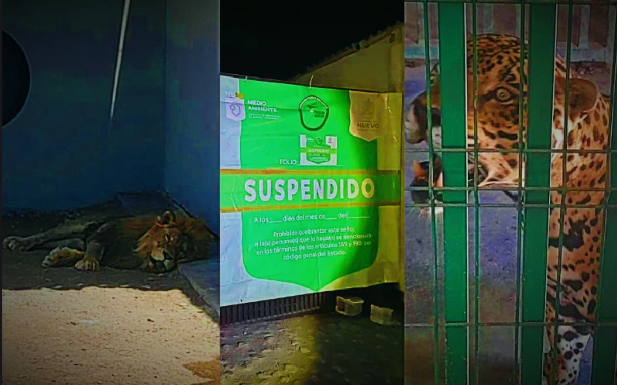 Clausuran rancho en Nuevo León por exhibir animales exóticos