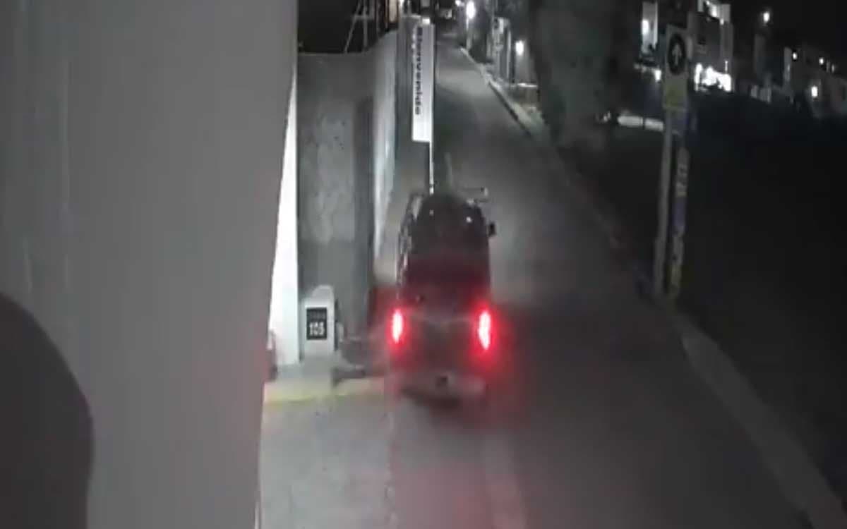 Buscan a conductor que atropelló a tres perritos en Puebla; uno murió