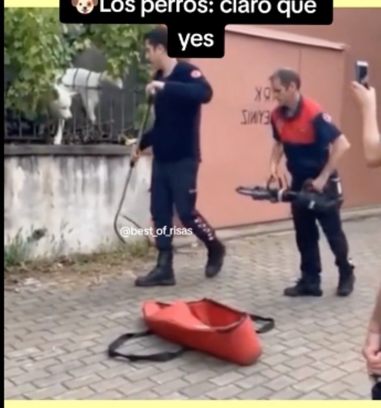 VIDEO: Perrito finge estar atorado y al llegar los bomberos sorprende con su destreza