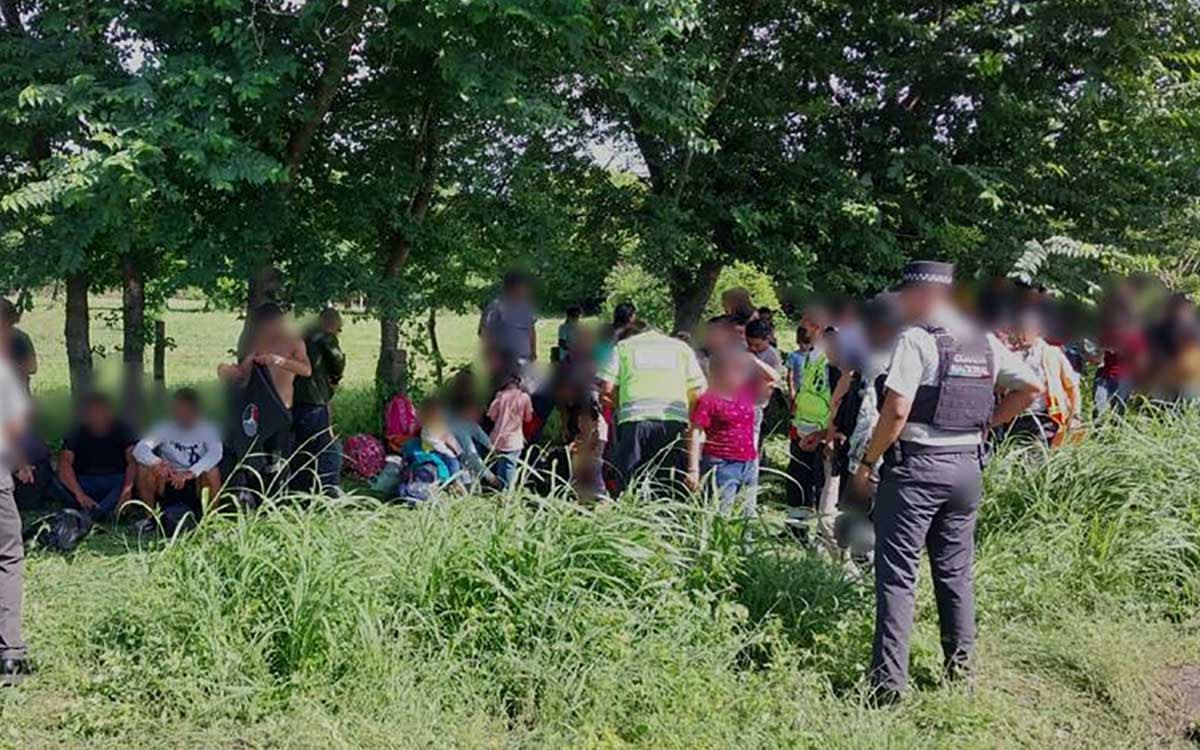 INM halla a 256 migrantes abandonados en Veracruz